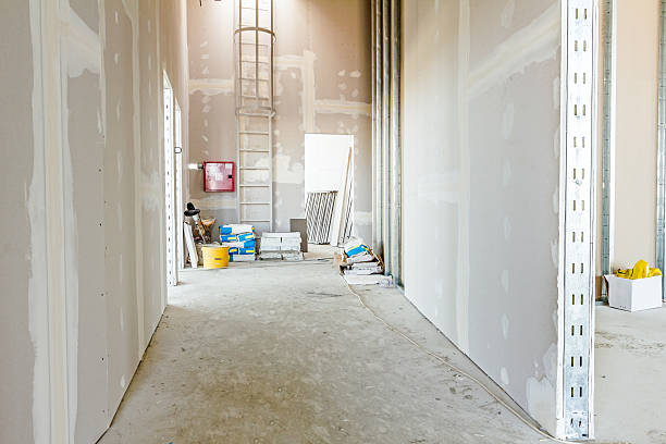 Best Drywall Installation  in Alachua, FL